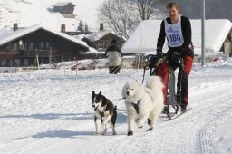 Lenk 2012 SM